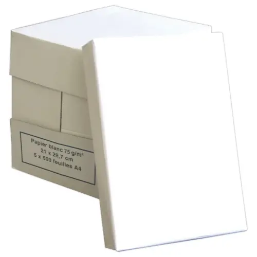 5 Ramettes de papier blanc - A4 - 75g