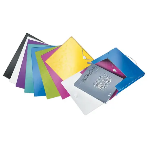 Boîte de classement plastique WOW - Violet - LEITZ