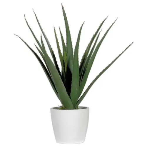 Plante artificielle Aloe vera - H 45 cm
