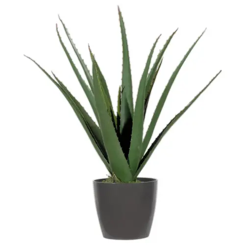 Plante artificielle Aloe vera - H 45 cm