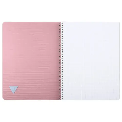 Cahier spirales Linicolor - A4 - 100 pages - 5x5 - CLAIREFONTAINE 