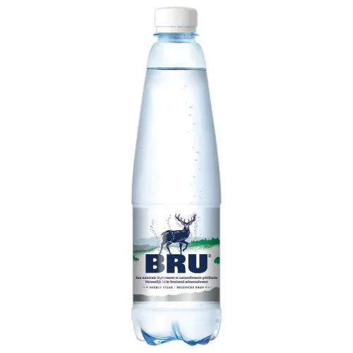 24 Bouteilles d'eau Bru 50 cl