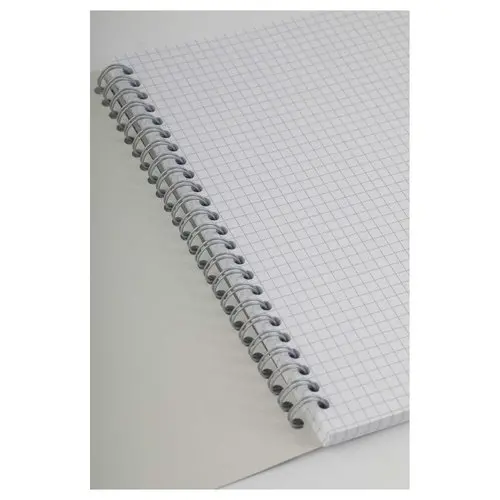 Cahier à spirales 70g - 17 x 22 cm - 180 pages - 5x5 - FIDUCIAL