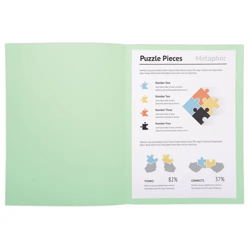 100 Chemises A4+ - Vert pastel - 220g - FIDUCIAL OFFICE SOLUTIONS