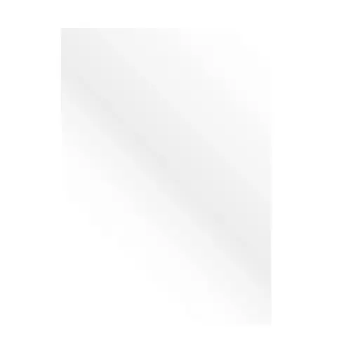 100 Couvertures brillantes pour reliure A4 Glossy - Blanc - FELLOWES