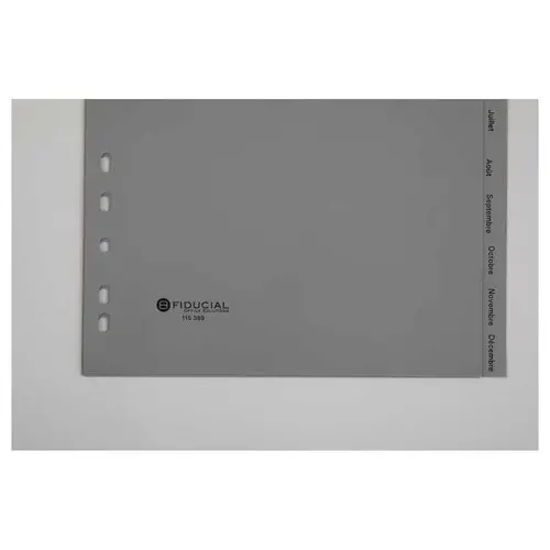 Jeu d'intercalaires mensuels A4 12 onglets - FIDUCIAL 