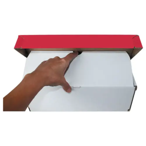 10 Boîtes de classement et d'archives "Consultation" - Dos 12 cm - FIDUCIAL