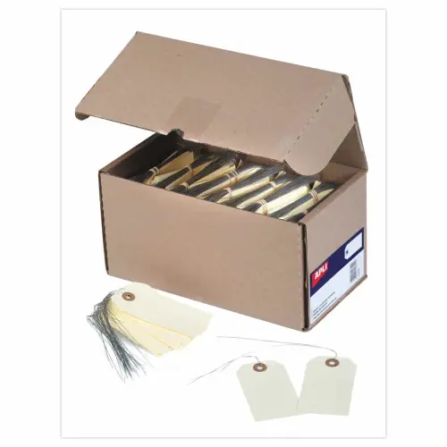 1000 Etiquettes am&eacute;ricaines &agrave; &oelig;illet + fil de fer 100 x 51 mm 