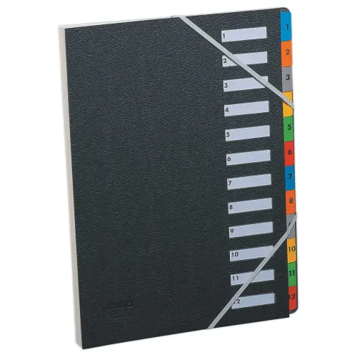 Trieur &agrave; &eacute;lastiques couverture grain&eacute;e noire - 12 onglets - Extendos 