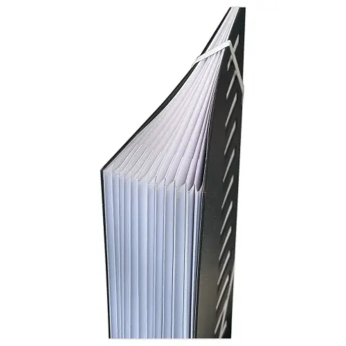 Trieur &agrave; &eacute;lastiques couverture grain&eacute;e noire - 12 onglets - Extendos 