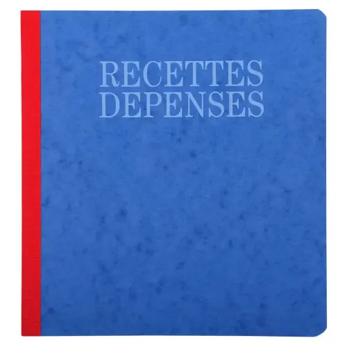 Piqûre Journal Recettes Dépenses 80 pages