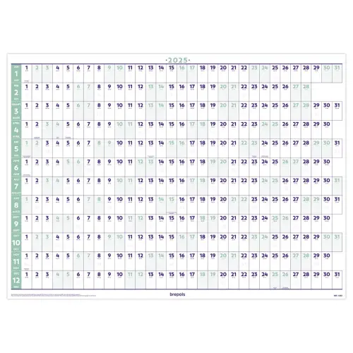 Planning annuel 82x59 cm - Janvier à décembre - BREPOLS