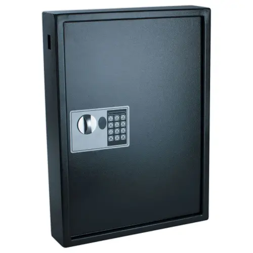 Armoire à clé haute sécurité 50 clés