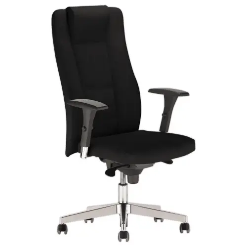 Fauteuil cuir Invitus - Mont&eacute; 