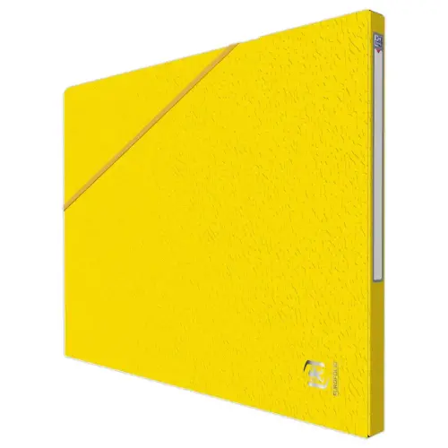 10 Chemises - Alpina - Carte lustrée - Jaune - OXFORD