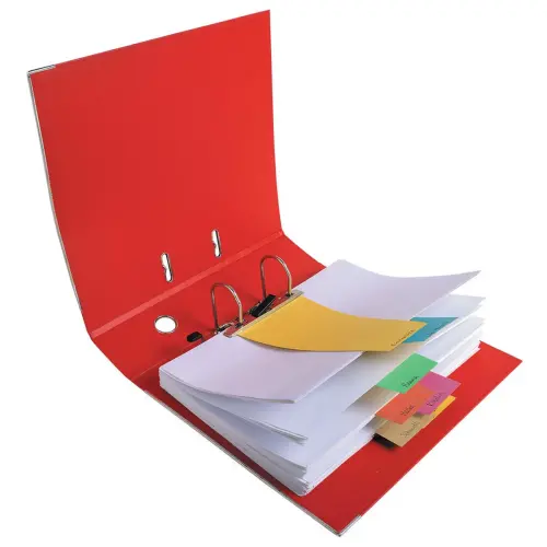 100 fiches intercalaires trap&eacute;zo&iuml;dales unies perfor&eacute;es Forever - assortis 