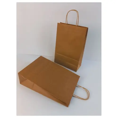 200 Sac poign&eacute;es torsad&eacute;es format Moyen : 22 x 33 x 10 cm- Naturel 