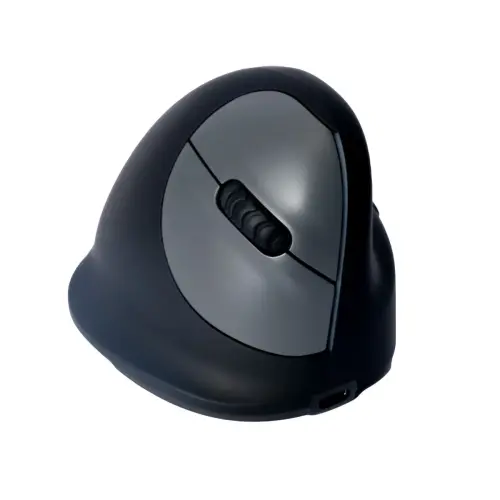 R-Go HE Souris ergonomique verticale sans fil droitier modèle grand