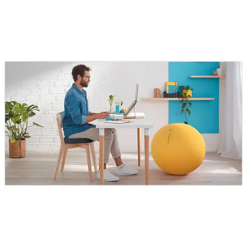 Coussin de siège ergonomique Ergo Cosy - Gris - LEITZ