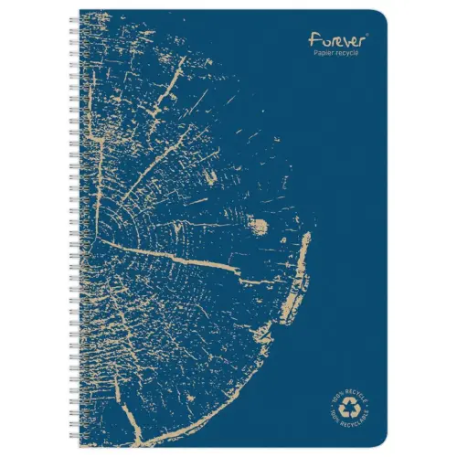 Cahier recycl&eacute; &agrave; spirales pages A4 lign&eacute;. 