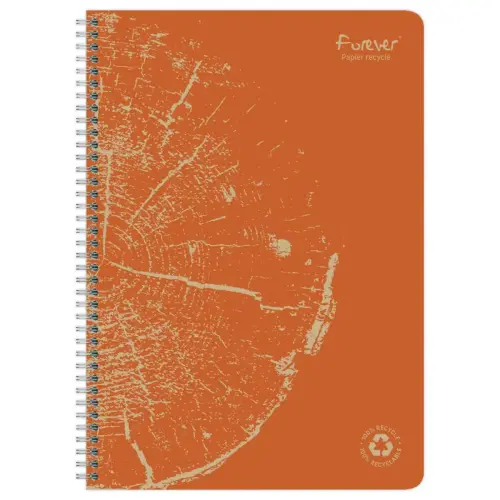 Cahier recycl&eacute; &agrave; spirales pages A4 lign&eacute;. 