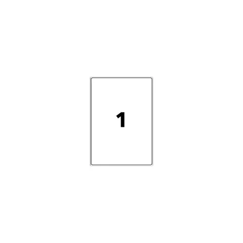 15 Planches d'&eacute;tiquettes 199,6x289,1 mm 15&eacute;tiq/bo&icirc;te 