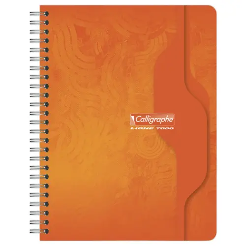 Cahier spirale - 70g - 17x22cm, 5x5 -100 pages - CALLIGRAPHE
