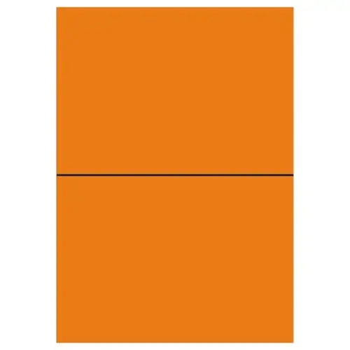 100 Planches d'étiquettes L210xH148,5 mm 200 étiq/ boîte, orange vif