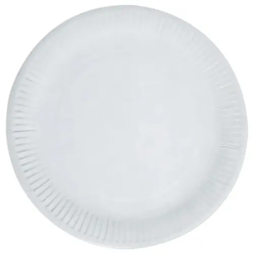 100 Assiettes en carton - 23 cm de diamètre