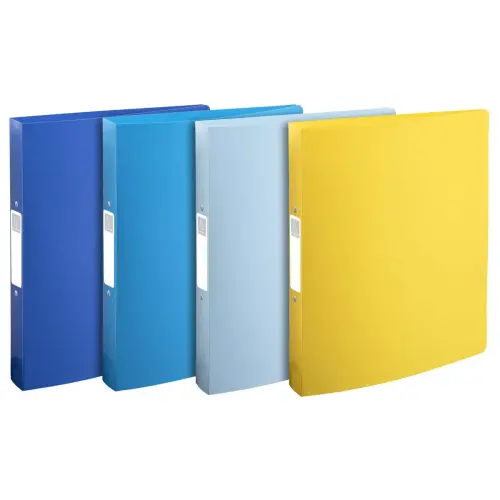 4 Classeur 2 anneaux 3cm PP recycl&eacute; BeeBlue - A4 Maxi - Assortis 