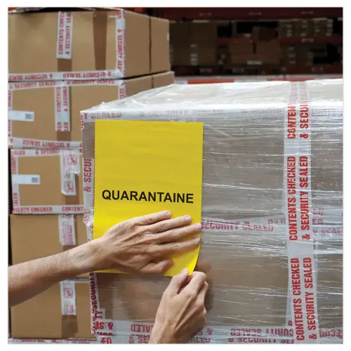 50 étiquettes L210xH297 mm Office Star jaunes