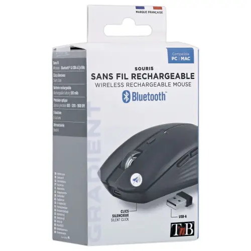 Souris gradient Dual Connect noire 