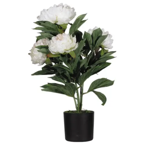 Pivoine artificelle blanche 55 cm