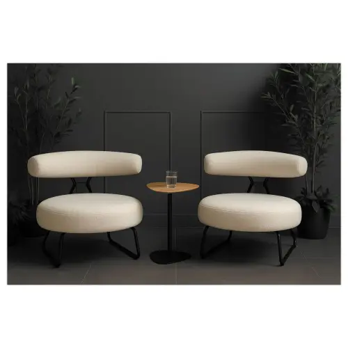 Fauteuil Teddy monté
