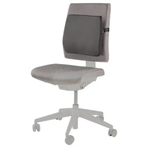 Coussin dorsal - Noir - FELLOWES