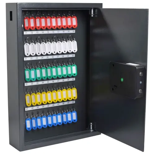 Armoire 50 clefs haute securit&eacute; serie  ADVANCED - Pavo 