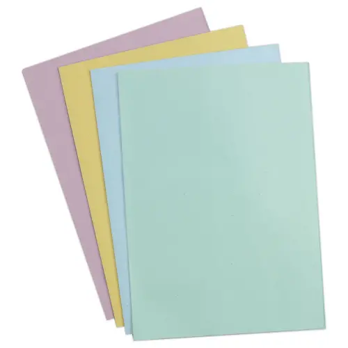 250 Sous-chemises 22 x 31 cm - Coloris assortis 