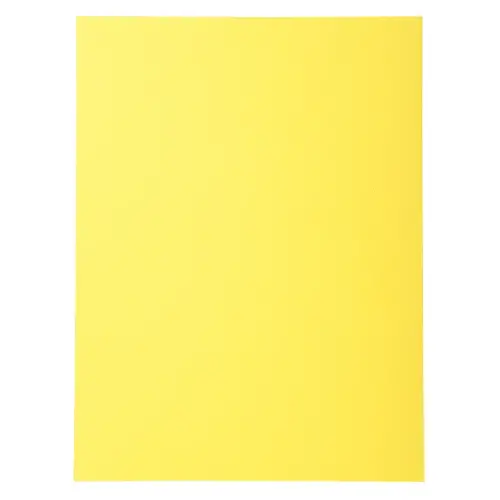 100 Chemises 220 g recyclées - Jaune - EXACOMPTA