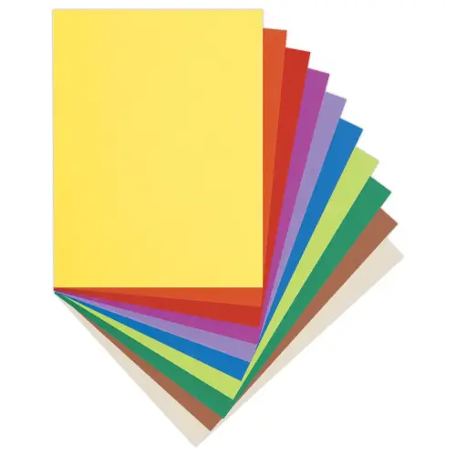 100 Chemises 24x32 cm - 220 g - EXACOMPTA