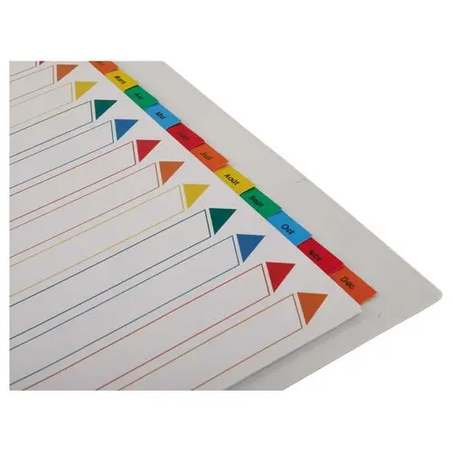 Jeu d'intercalaires mensuels 180 g - A4 - 12 onglets multicolores - FIDUCIAL