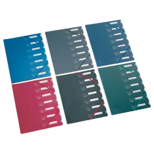 Trieur chemise bi-matière - 7 compartiments - EXTENDOS