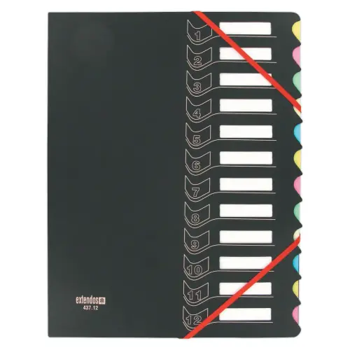 Trieur chemise bi-matière - 12 compartiments - EXTENDOS