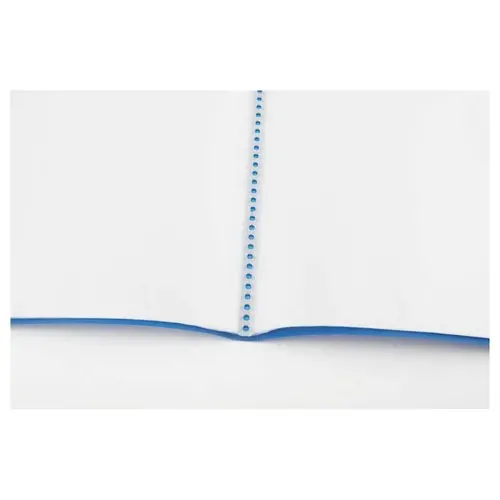 Protège-documents économique - A4 - 20 pochettes - Bleu