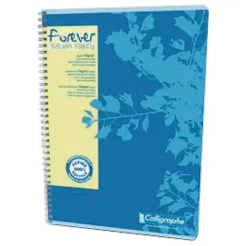 Cahier A4 recyclé "Forever" - 5x5 - 70g - CALLIGRAPHE