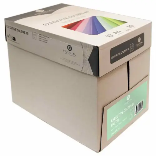 Ramette de papier couleur pastel A4 Executive Colors 80g - Vert - FIDUCIAL 