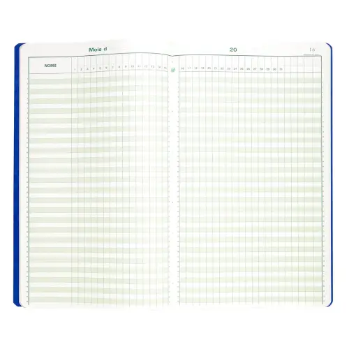 Piqûre 40x24cm - Pointage 46 lignes 80 pages - EXACOMPTA