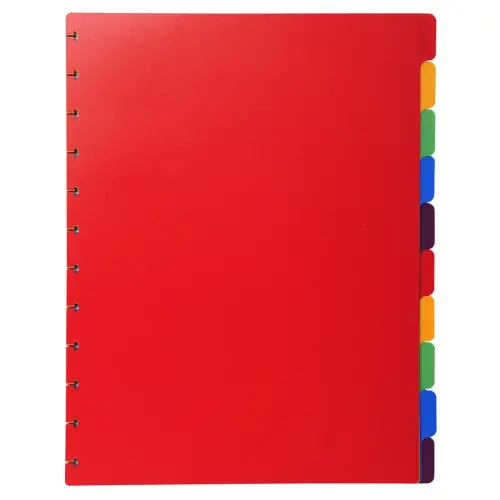 Intercalaires polypropylènes couleurs 10 positions pour porte-vues à anneaux - EXACOMPTA