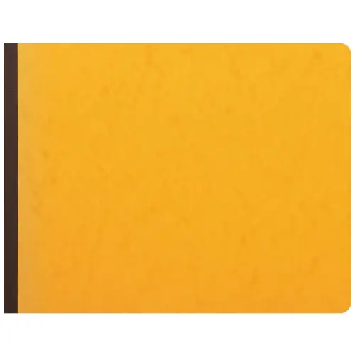 Piq&ucirc;re 25x32cm 30 colonnes sur 2 pages 31 lignes 80 pages - EXACOMPTA 