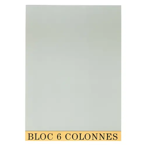 Bloc de contrôle comptable 29,7x21cm - 6 colonnes - 70 feuillets - Gris - EXACOMPTA