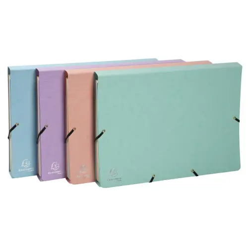 Trieur avec élastiques - 12 compartiments- 34 x 24,5 cm - Coloris pastel - EXACOMPTA